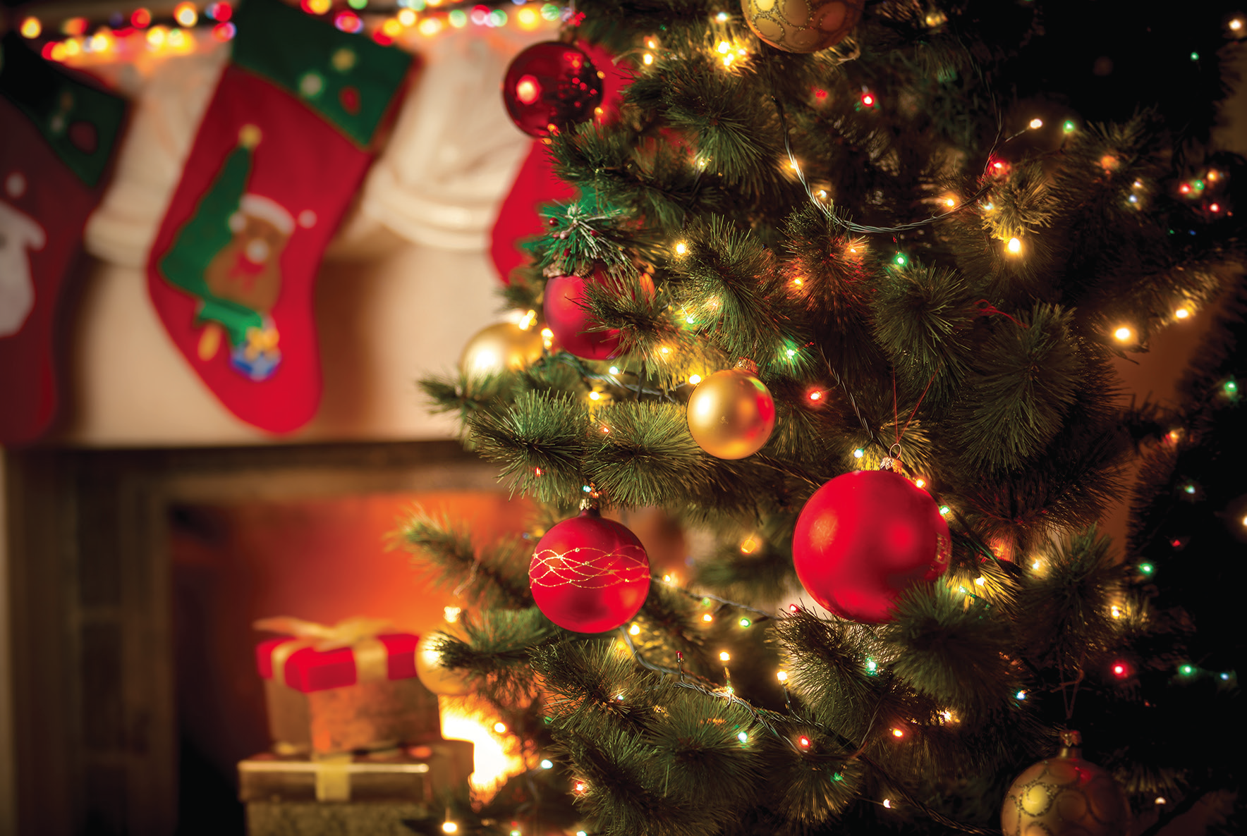 2018_CommonVoices_X-Mas-Tree-Safety