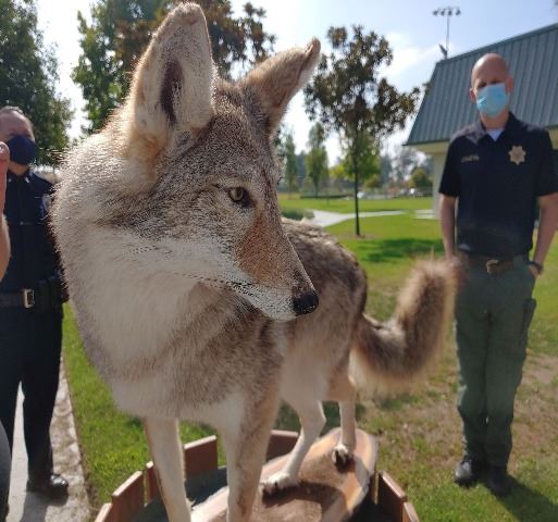 Fishandgame2 8-10-20