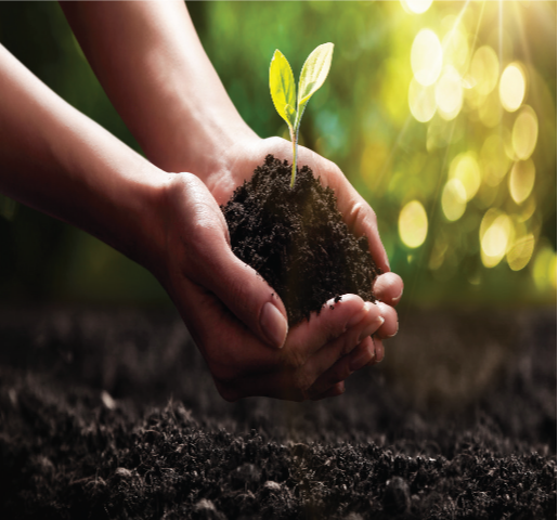 CompostGiveaway image