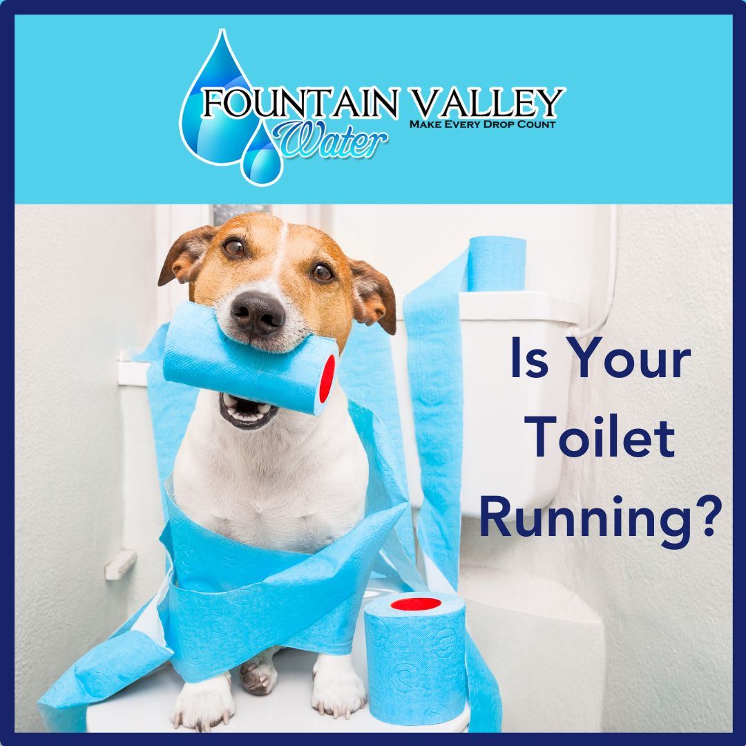 Fix a Leak Week 2025 - Post 2