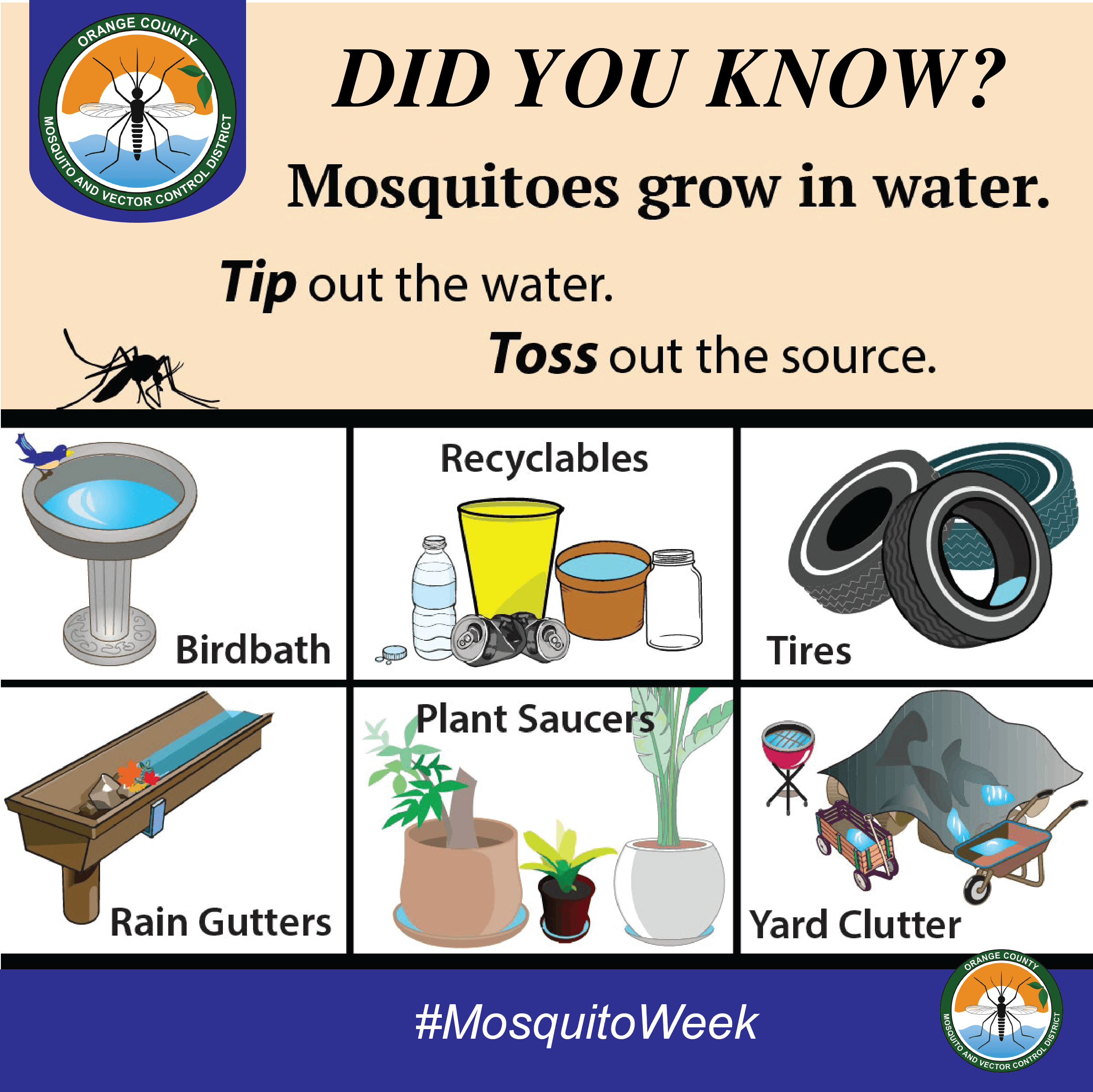 MosquitoWeek1