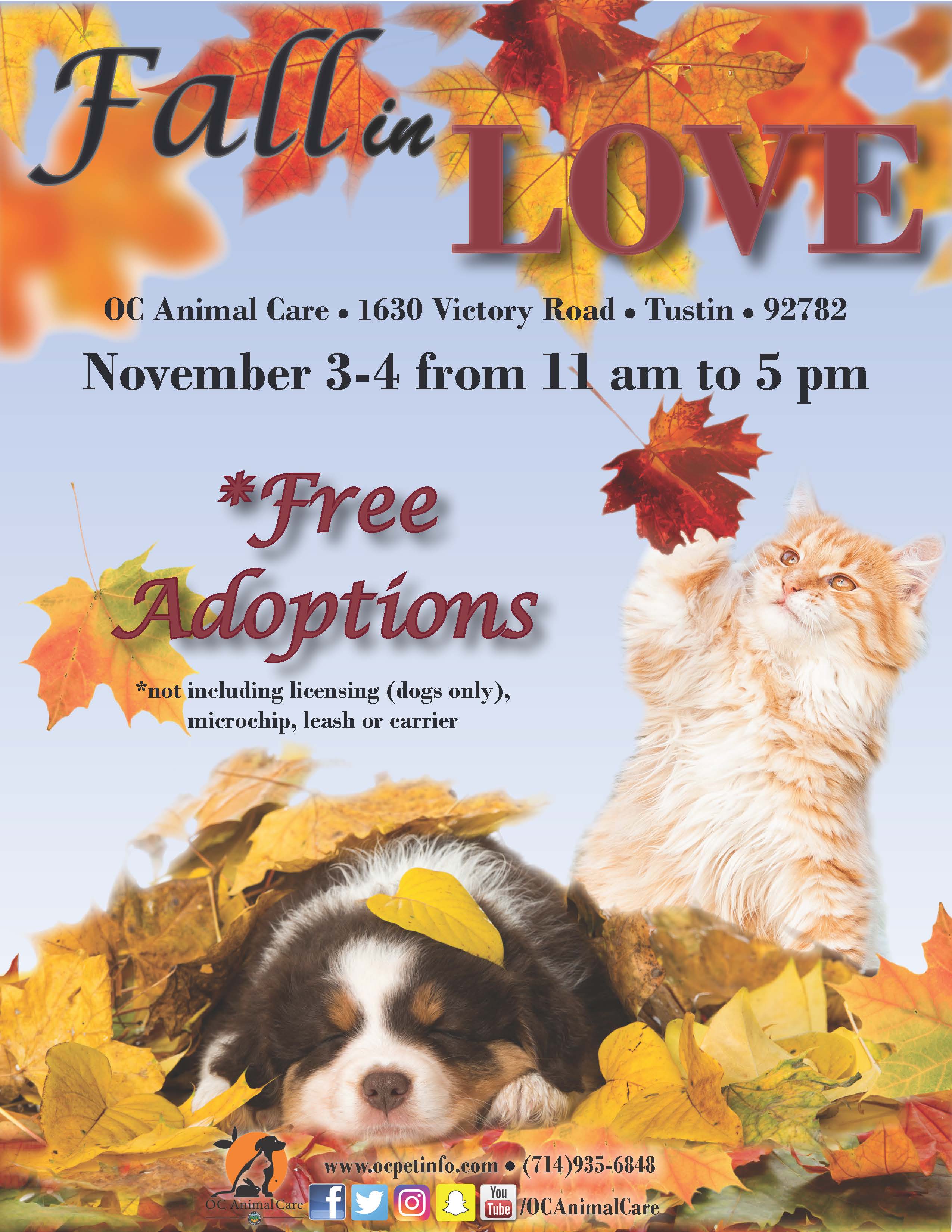 Fall in Love Weekend 2018