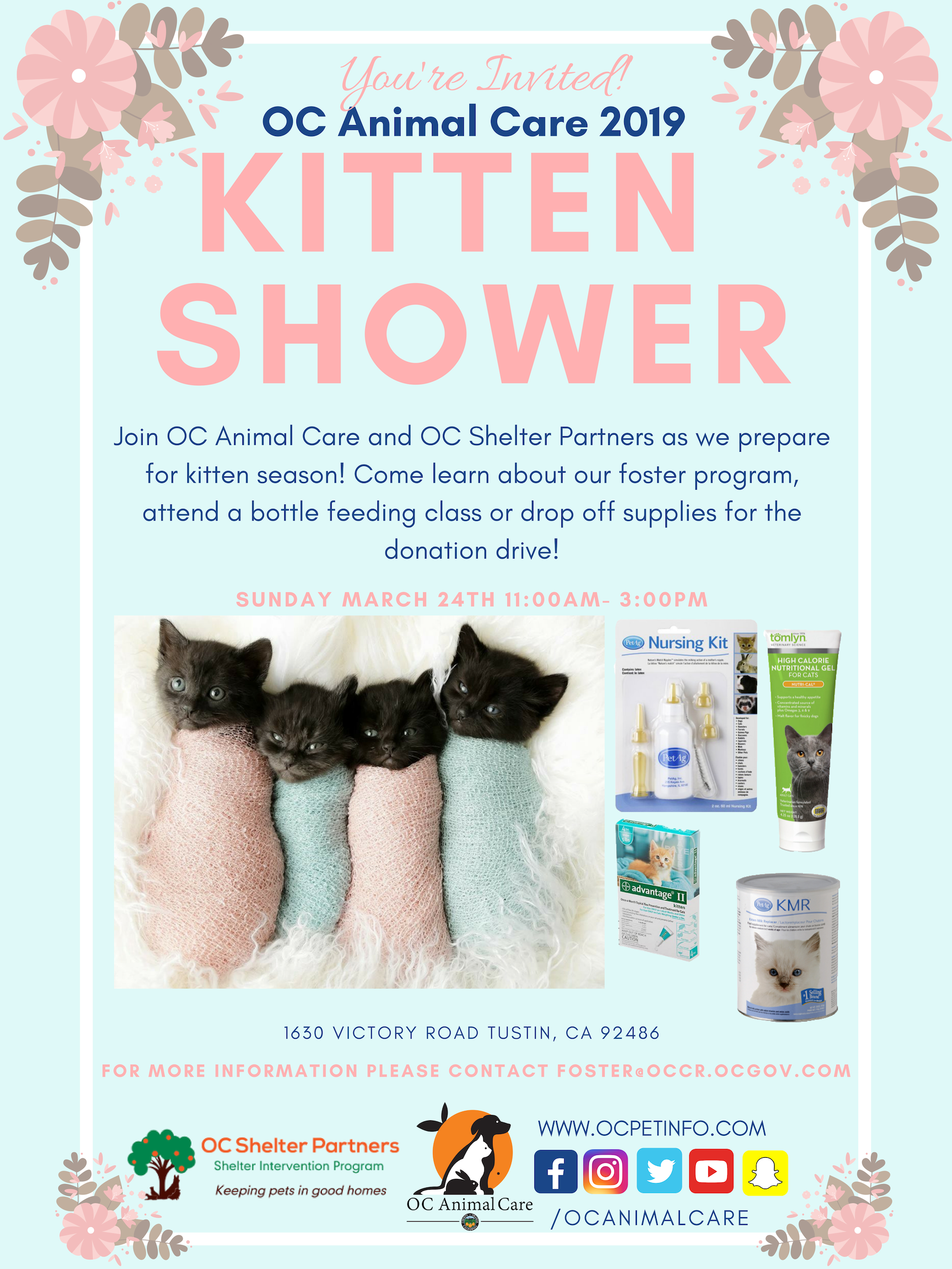 Kitten Shower