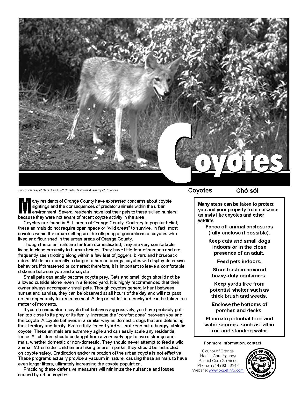 Coyote Flier 8.5x11_low_res 8-10-2020_Page_1