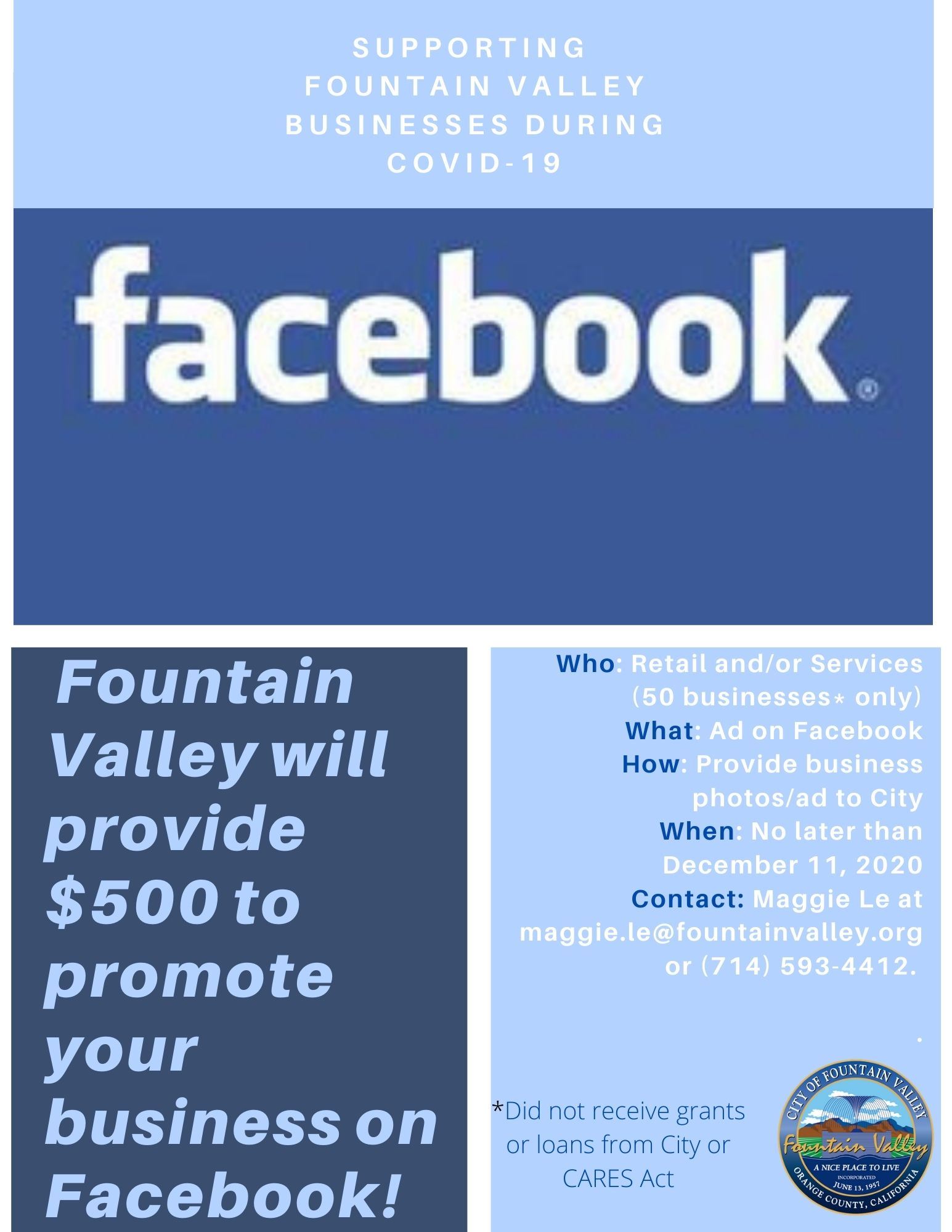 Facebook ad flyer
