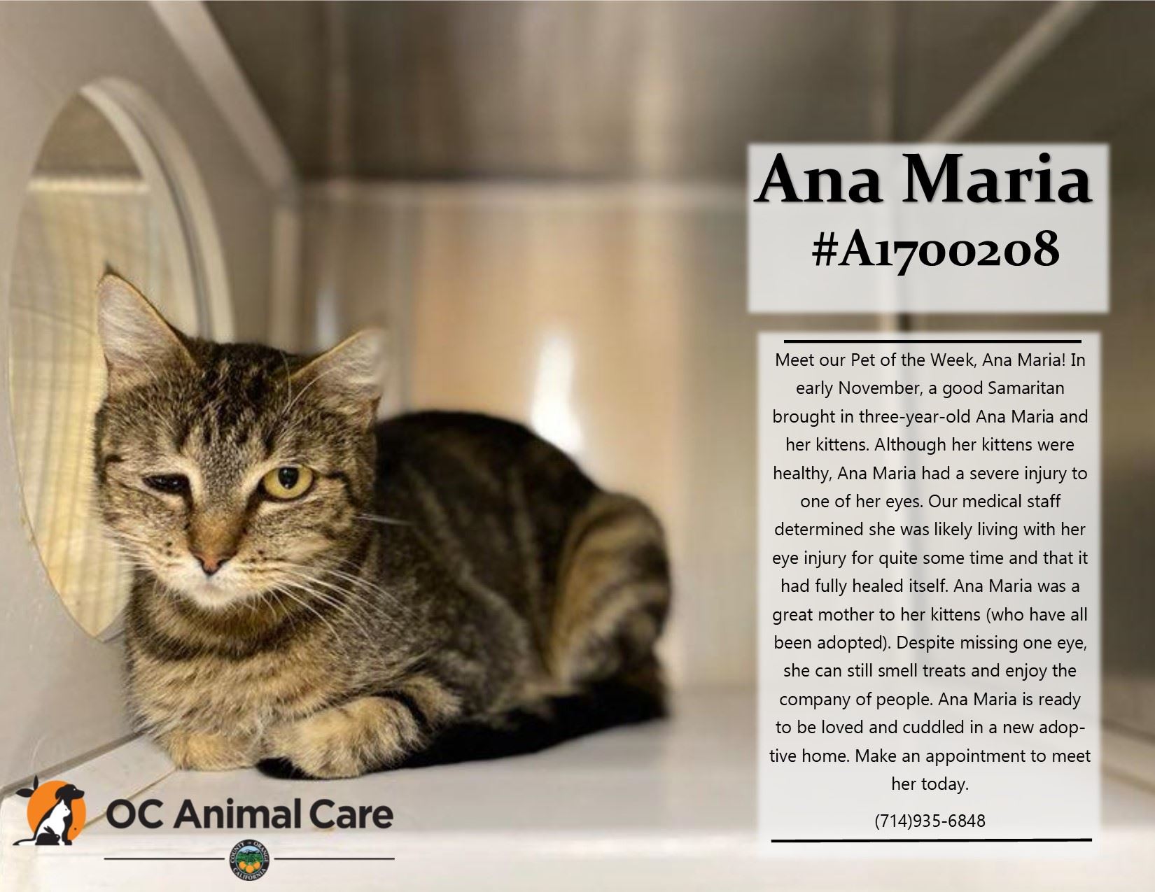 Pet of the week Ana Maria 12-8-20