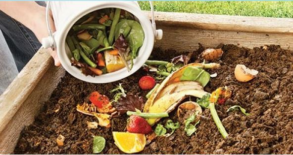 Composting Vegetables2