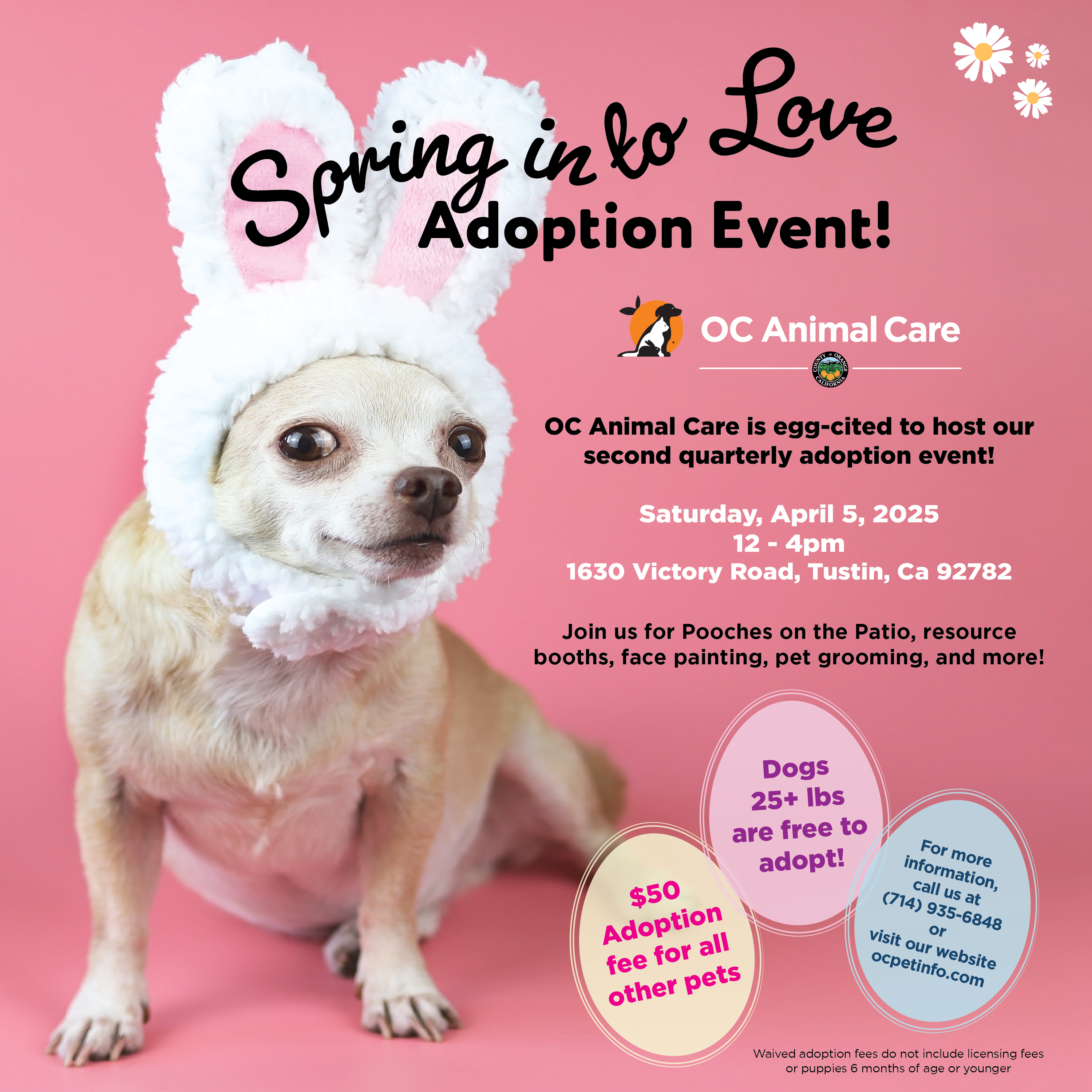 Spring into Love Adoption Event